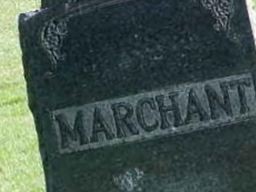George W Marchant George W Marchant