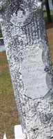 George W. McCabe