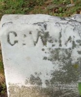 George W McCarty