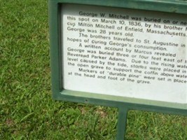 George W. Mitchell George W. Mitchell