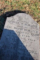 George W Olmsted