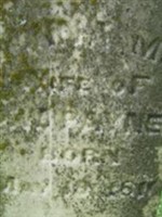 George W Payne
