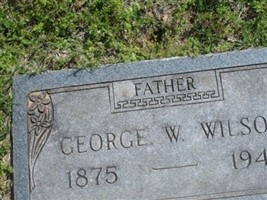 George W. Wilson