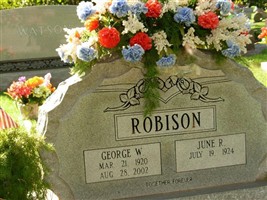 George Walter Robison George Walter Robison