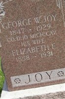 George Warren Joy