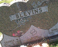 George WASHINGTON Blevins
