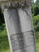 George Washington Capps George Washington Capps