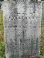 George Washington Cobb