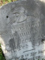 George Washington Dominick
