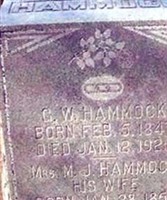 George Washington Hammock George Washington Hammock