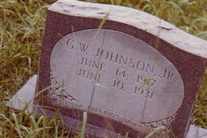 George Washington Johnson, Jr