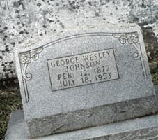 George Wesley Johnson, Sr