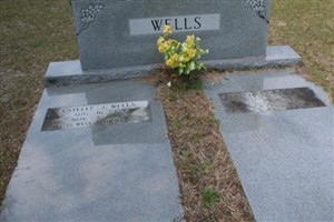 George Wesley Wells George Wesley Wells