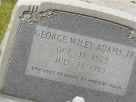 George Wiley Adams, Jr