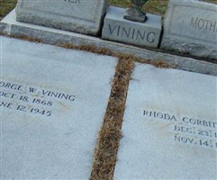 George Wiley Vining George Wiley Vining