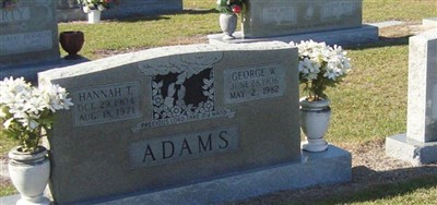 George William Adams