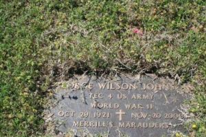 George Wilson Johnson