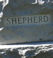 Georgia Dove Shepherd