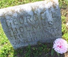 Georgia E. Williams Holmes