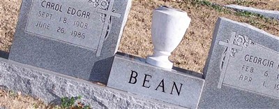 Georgia Fern Bean