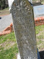 Georgian Texas Hicks Brophy