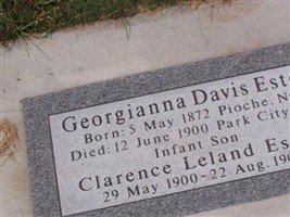 Georgianna Davis Estey