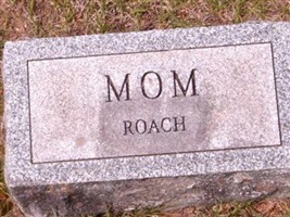 Georgianna Smith Roach Georgianna Smith Roach
