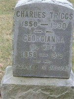 Georgianna Triggs