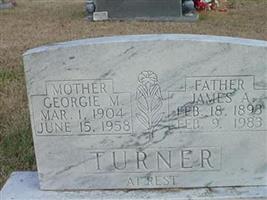 Georgie M. Turner