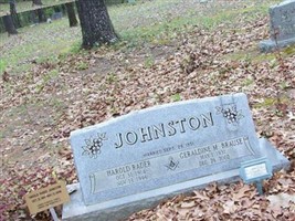 Geraldine M Brause Johnston