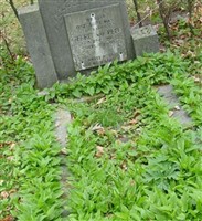 Gerrit Van Peer Gerrit Van Peer