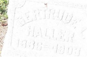 Gertrude L Haller Gertrude L Haller