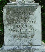 Gertrude M Pishna
