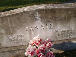 Gertrude Mary "Trudie" Novak Bawkin