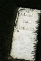 G. F. Michaels
