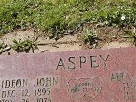 Gideon John Aspey