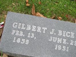 Gilbert Johnson Bice