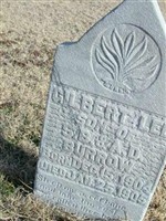 Gilbert Lee Burrow
