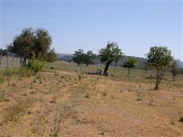 Gillett Family Cemetery