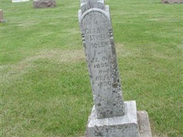 Gina Marthille Holen
