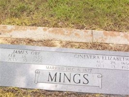 Ginevera Elizabeth Mackey Mings Ginevera Elizabeth Mackey Mings