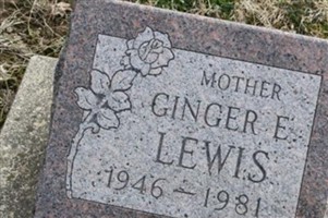 Ginger Elaine Snavely Lewis Ginger Elaine Snavely Lewis