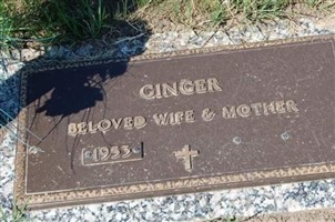 Ginger Gearheart