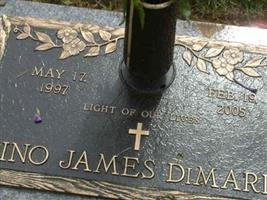 Gino James DiMario