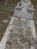 Giuseppina DiDio Giuseppina DiDio
