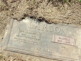 Gladys J. Larson