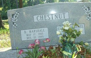 Gladys McDaniel Chestnut