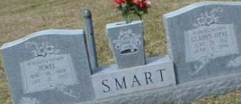 Gladys Opal Smart Gladys Opal Smart