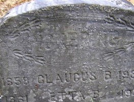 Glaugus B Pickering