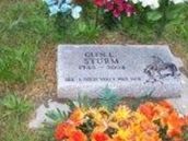 Glen L. Sturm Glen L. Sturm